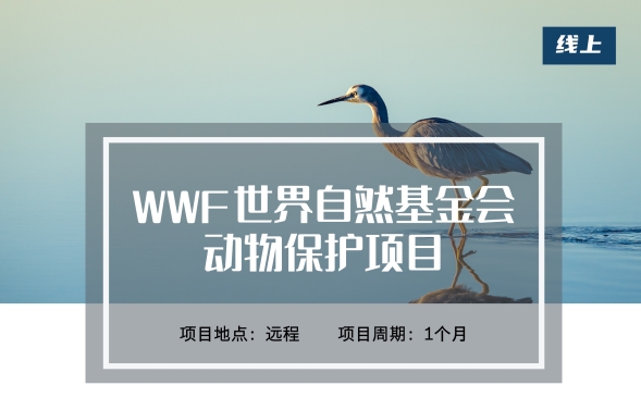 WWF世界自然基金会：动物保护项目（远程）