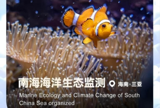 南海海洋生态监测