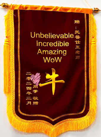 感谢锦旗