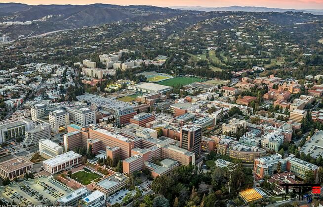 1514189727788547.jpg 加州洛杉矶4.jpg