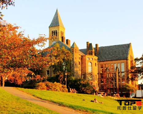 1517809731403681.png 康奈尔1.png