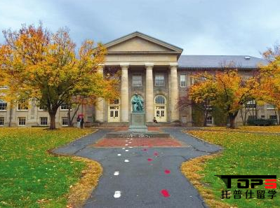 1517809776262407.png 康内尔.png