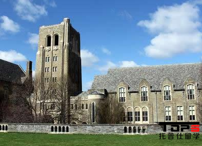 1517809804524643.png 康奈尔3.png