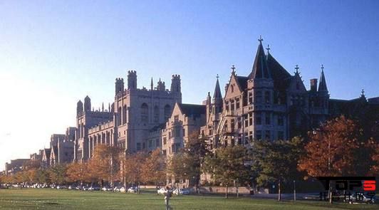 1532427477256512.jpg 25.jpg