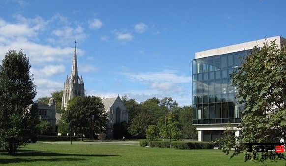 1541716317126952.jpg z1 (18).jpg