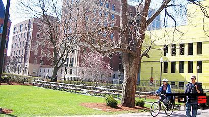 美国波士顿大学申请要求