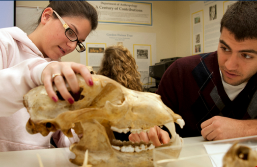 加州大学戴维斯分校人类学专业好不好.png 加州大学戴维斯分校人类学专业好不好.png
