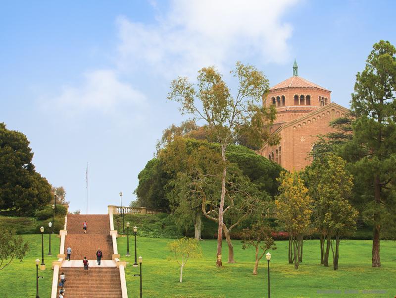 加州大学洛杉矶分校入学条件