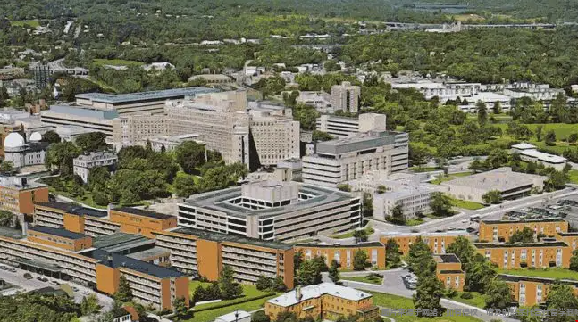 埃默里大学护理学院排名