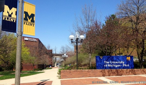 密歇根大学安娜堡分校怎么样