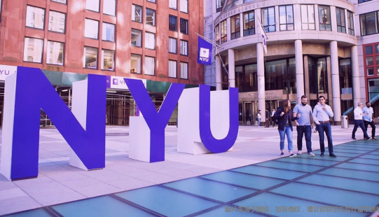 纽约大学.png