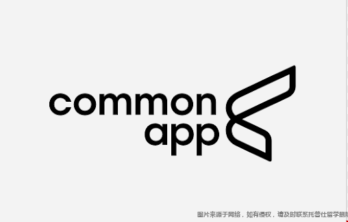 美本申请CA文书题目公布