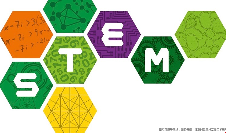 stem3.png