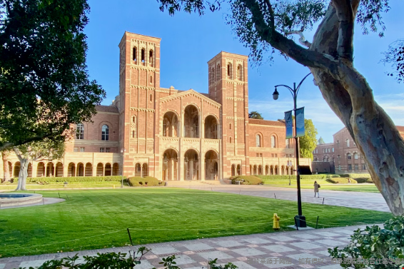 ucla什么专业录取难度低