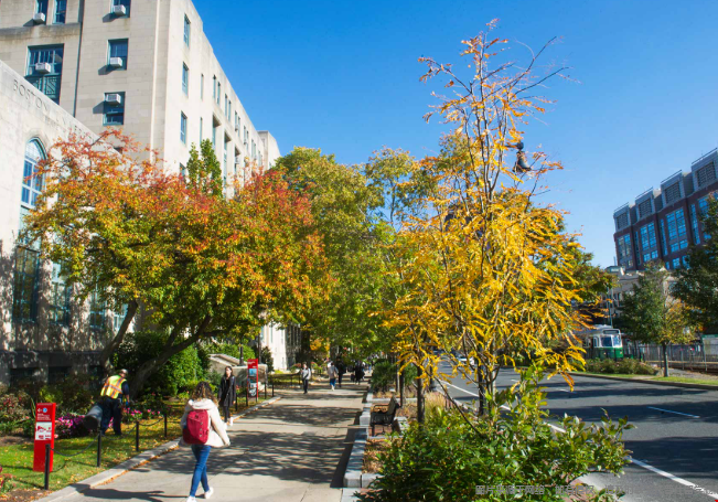 波士顿大学ECE专业含金量