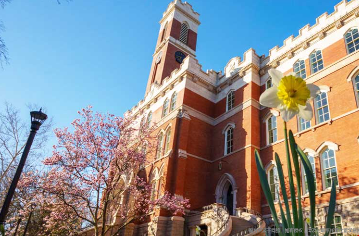 美国教育学专业排名最强的大学