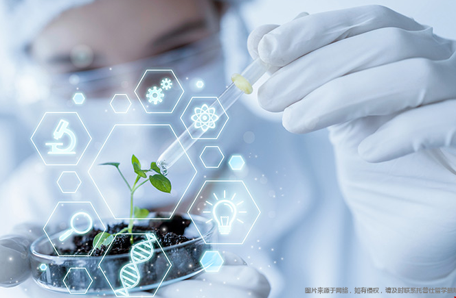 美国前三十名生物专业的大学