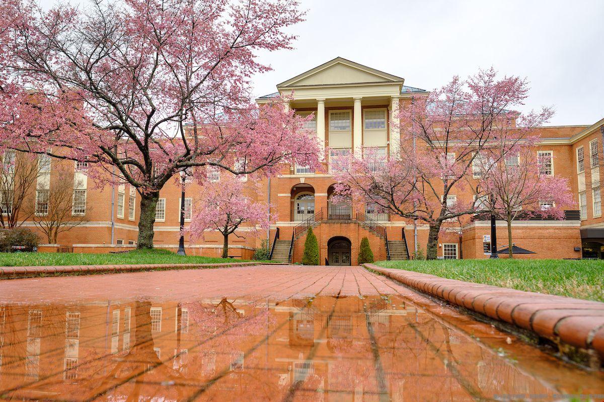 wake forest大学全球排名.jpg