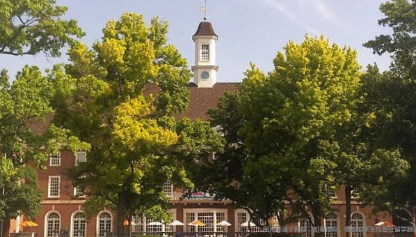 uiuc相当于国内什么大学