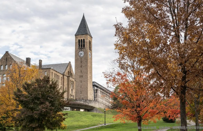 康奈尔大学位于美国哪里