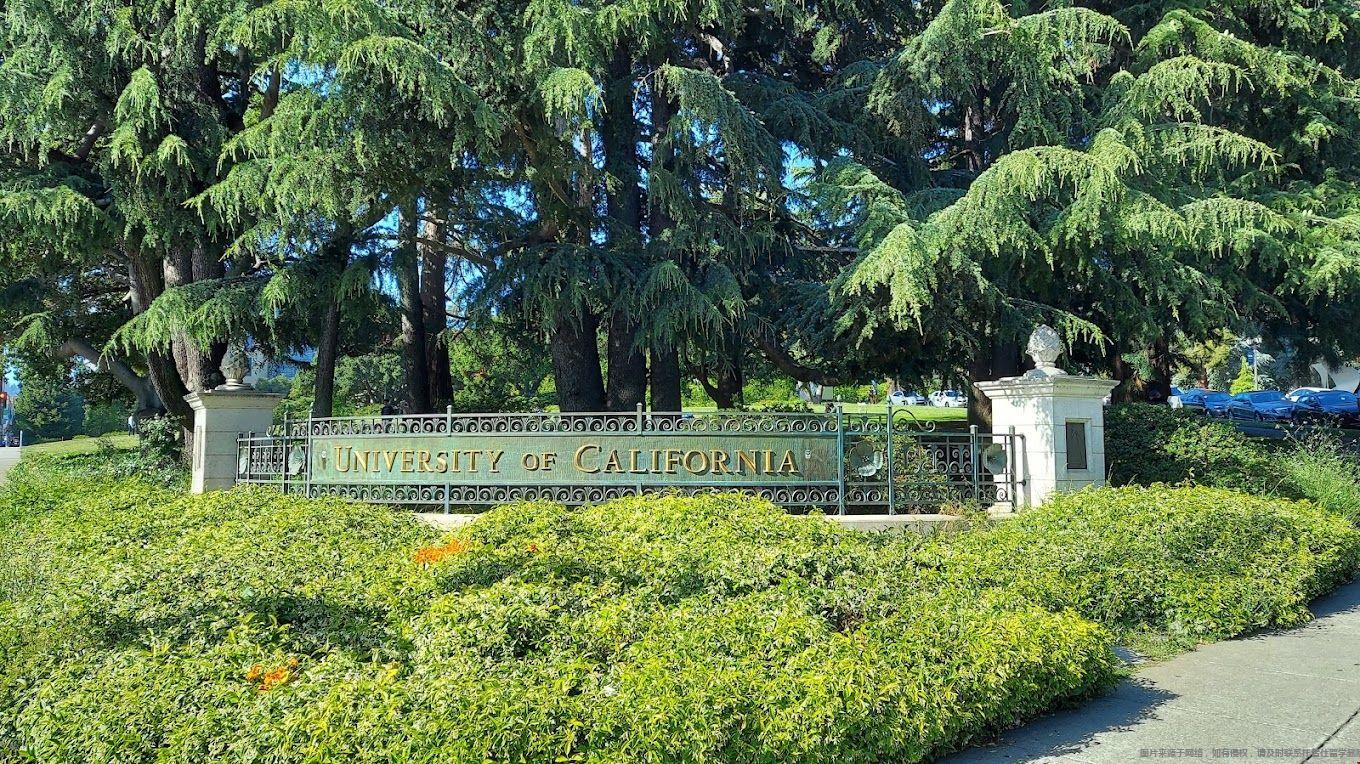 加州伯克利毕业生就业情况.jpg