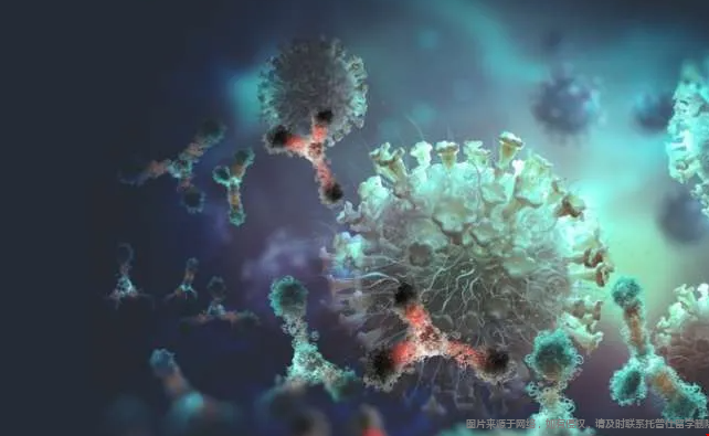 生物学是美国留学敏感专业吗 生物学是美国留学敏感专业吗