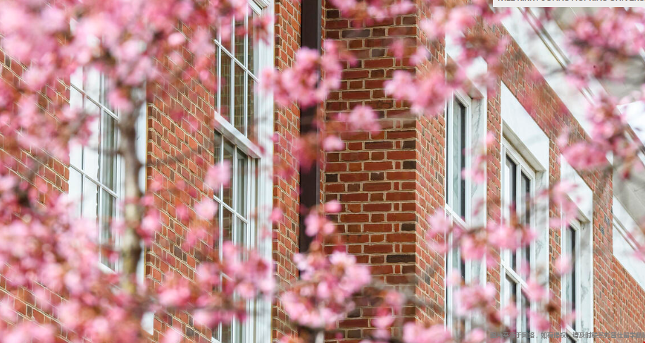 约翰霍普金斯大学一年接受多少转学生.png 约翰霍普金斯大学一年接受多少转学生.png