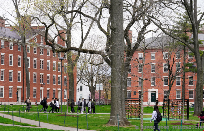 哈佛大学教育学院有多牛