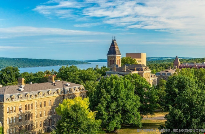 康奈尔大学和纽约大学哪个好
