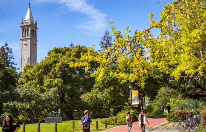 加州大学哪些分校商科专业好