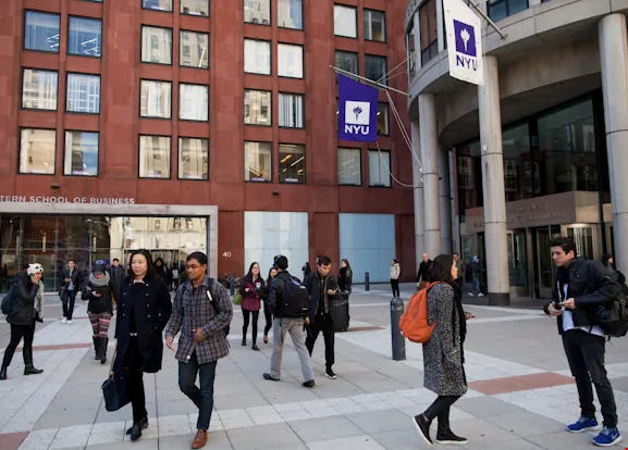 纽约大学