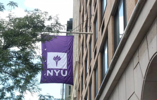 纽约大学