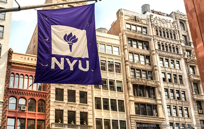 纽约大学