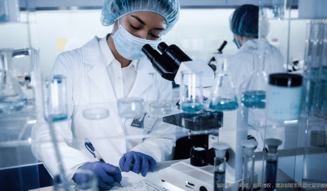 美国生物医学工程专业