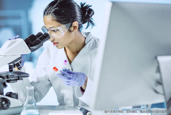 美国生物医学工程专业