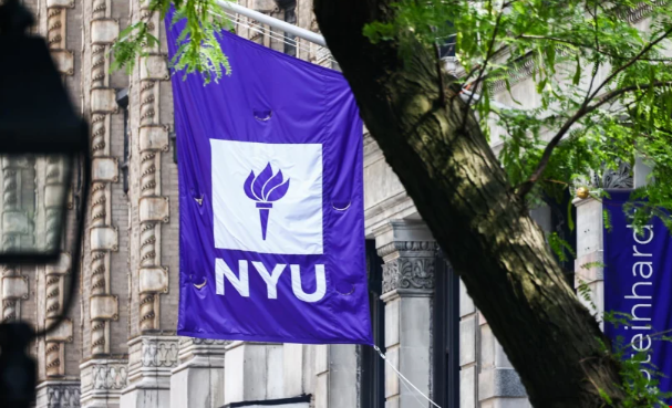 纽约大学