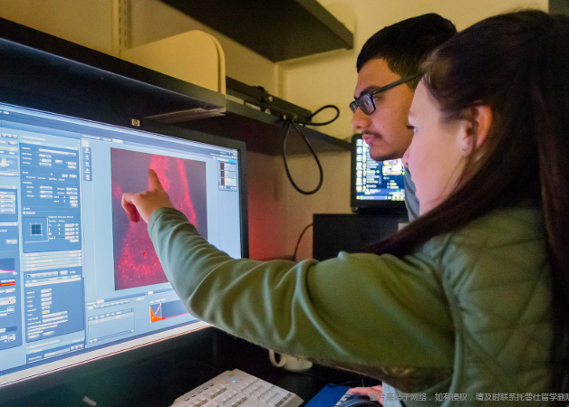 学计算机专业去美国还是英国好