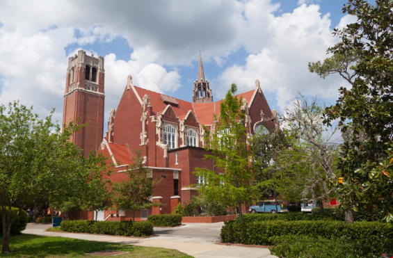 佛罗里达大学