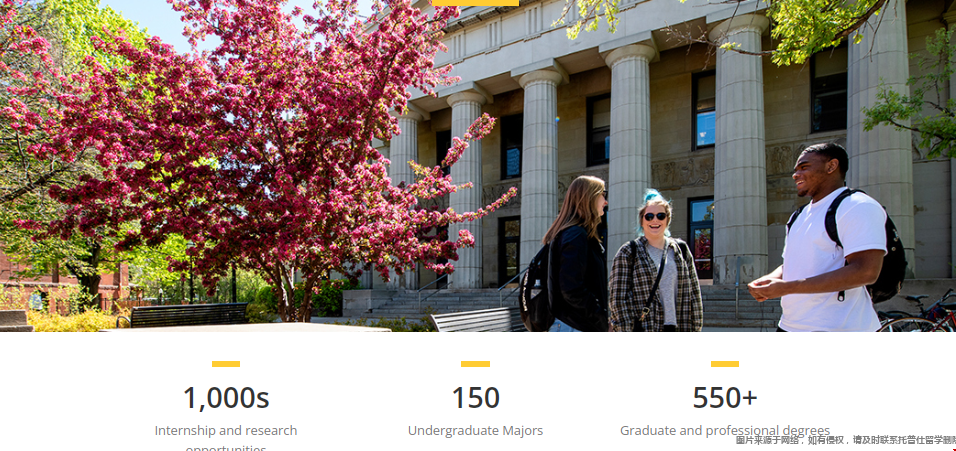 umn大学.png