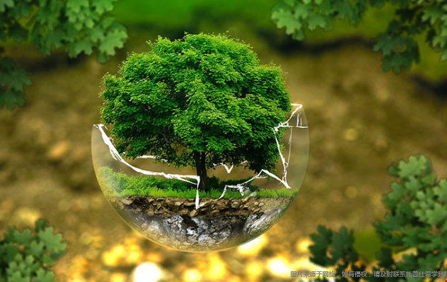 美研环境工程和环境科学的区别