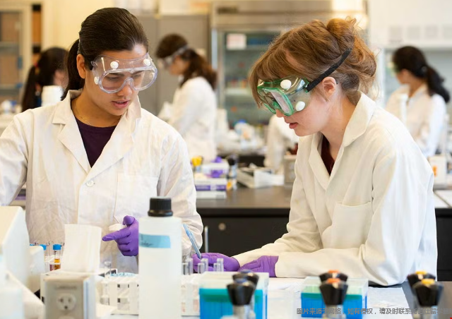 美本失业率最低的专业