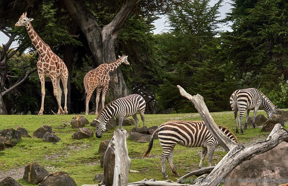 美本失业率最低的专业