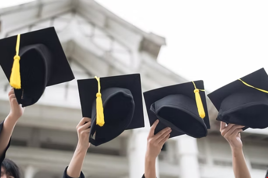 美高申请美本活动履历怎么写