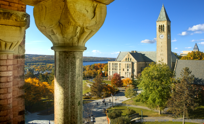 康奈尔大学