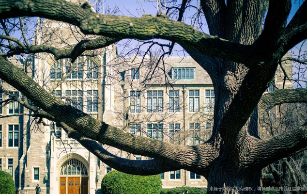 乔治城大学地理位置优势