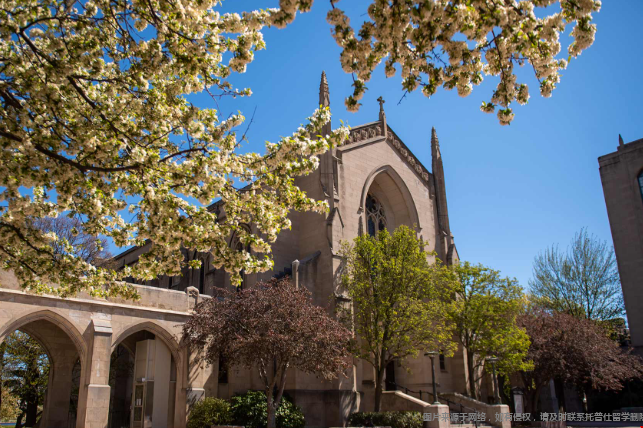 波士顿大学
