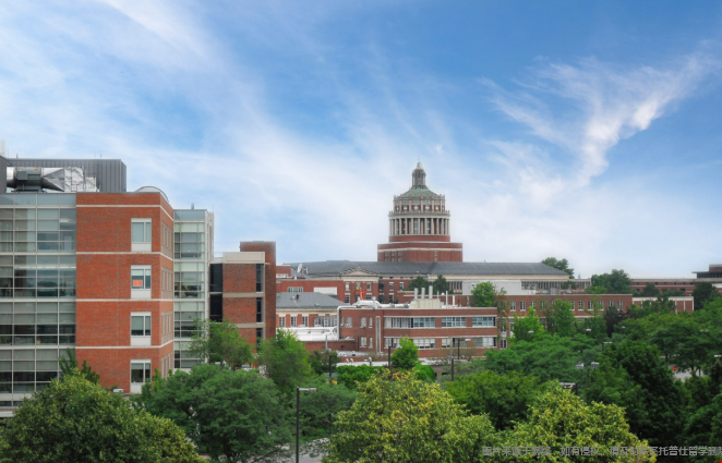 罗切斯特大学本科录取难度