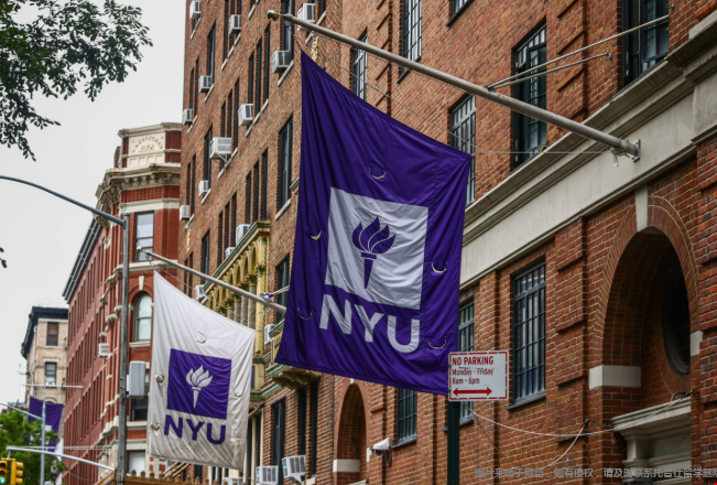 纽约大学