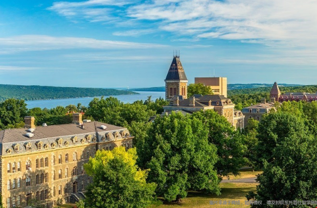 康奈尔大学