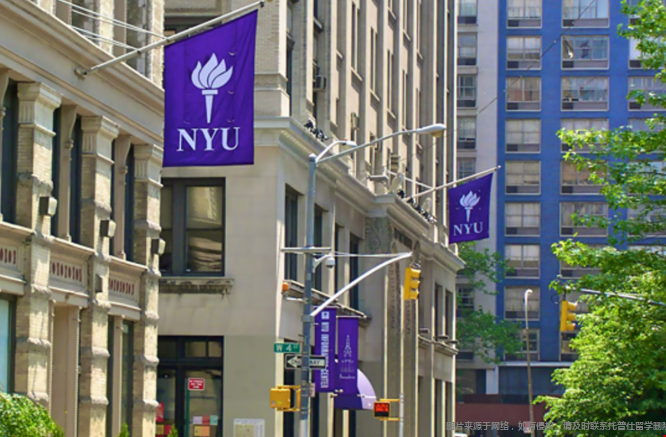 NYU公共卫生学院怎么样